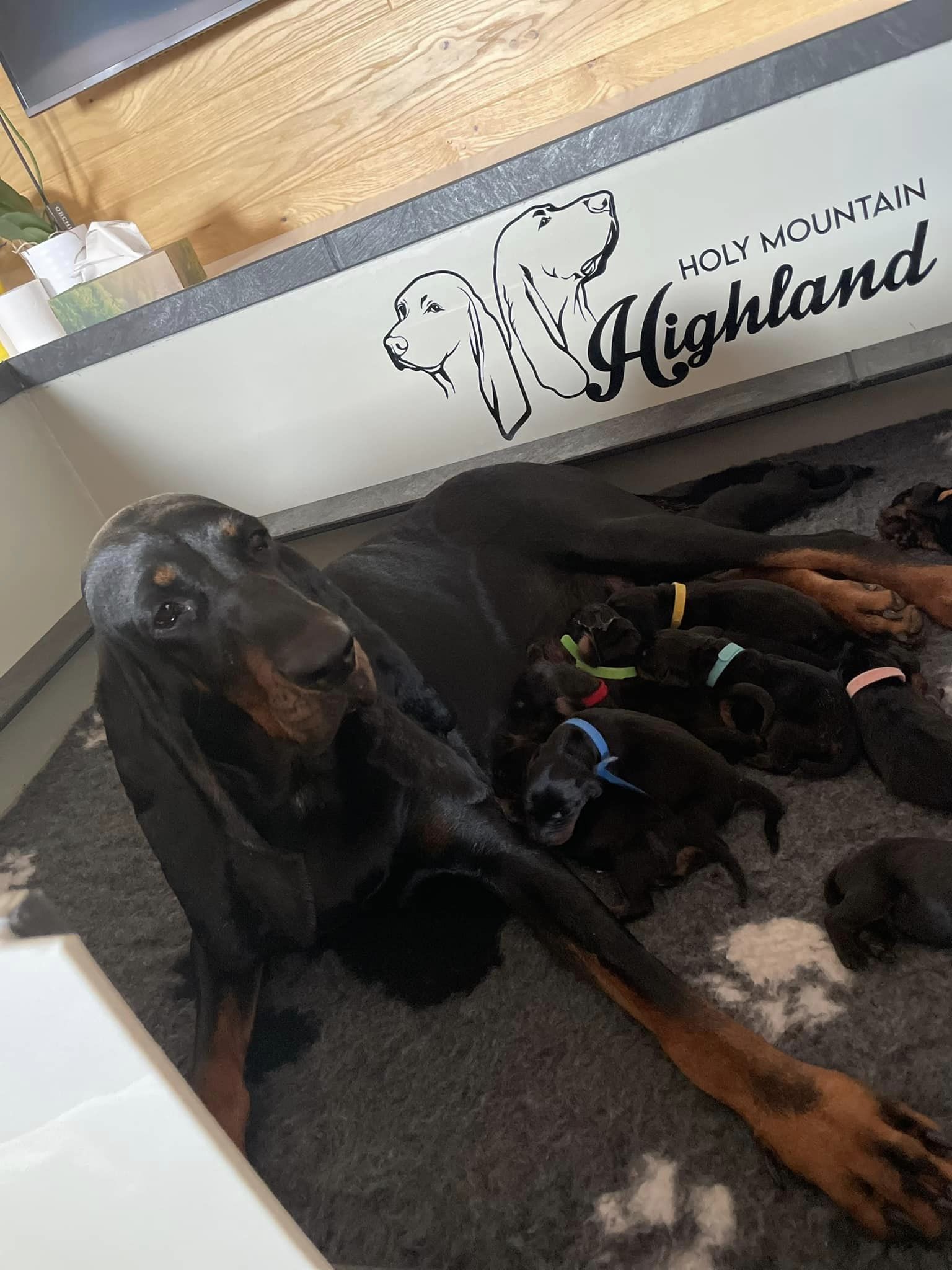 402303954_338079588867389_3823798988787633377_n